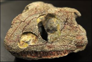 The fossil of a trematopid temnospondyl amphibian, a new genus and species of carnivorous amphibian, was found near the Pittsburgh airport.