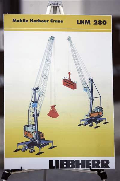 Contest-announced-to-name-the-cranes-2