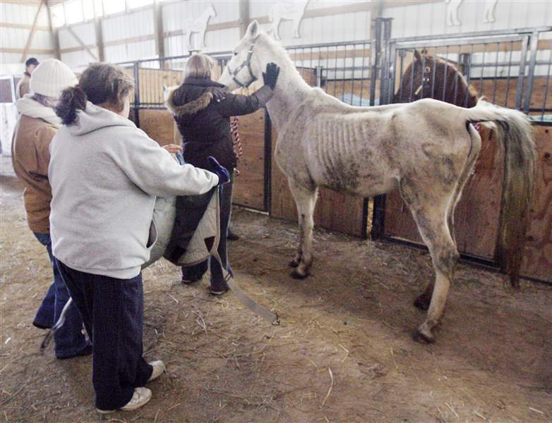 Horse-owner-described-as-facing-many-stressors-2