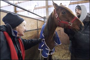 Nancy Silva of the Ottawa County Humane Society and DJ Mager tend to a horse rescued from Robin Vess' Carroll Township farm in January. The caregivers who have been tending the 36 animals were upset about possibly bringing the horses to the trial of Ms. Vess in Port Clinton. Photos of the animals will be sent instead. Vess