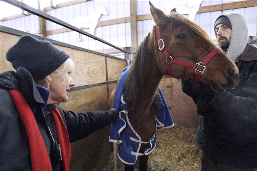 Animal-rescuers-relieved-over-pact-with-judge-horses-don-t-have-to-attend-trial