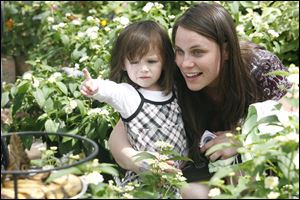 Slug:  Whitehouse                            Date 5/9/2010 Toledo Blade/Amy E. Voigt                Location: Whitehouse, Ohio  CAPTION:   Nicole Flores, right, and her daughter Marah Flores, 2, from Bowling Green, look at a butterfly while spending Mother's Day with her children at The Butterfly House on May 9, 2010.