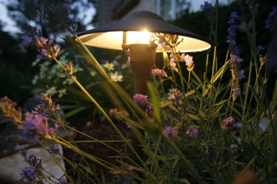 Lighten-up-Homes-landscapes-glow-when-night-falls