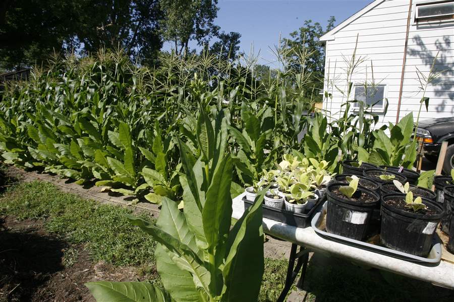 Weed-It-Reap-Jeff-Malewski-3