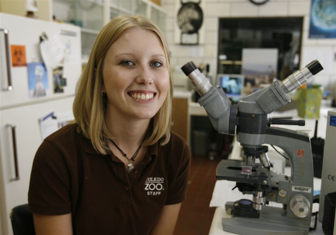 Zoo vet tech to aid oiled sea turtles | The Blade