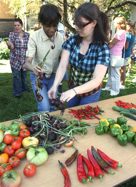 Autism-Academy-harvests-bounty-at-its-garden-party-2