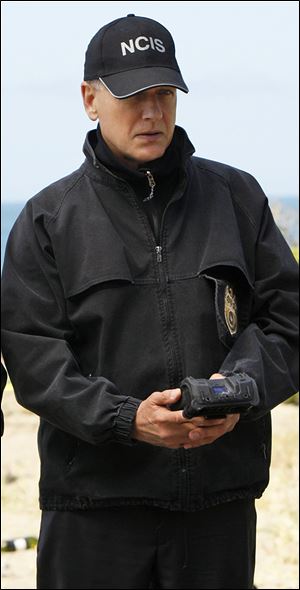 Michael Weatherly's character, Tony DiNozzo, was involved in a 'Tiva' relationship on 'NCIS.'