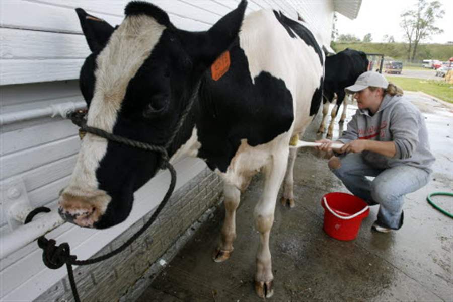 Fulton-County-readying-to-welcome-fair-goers