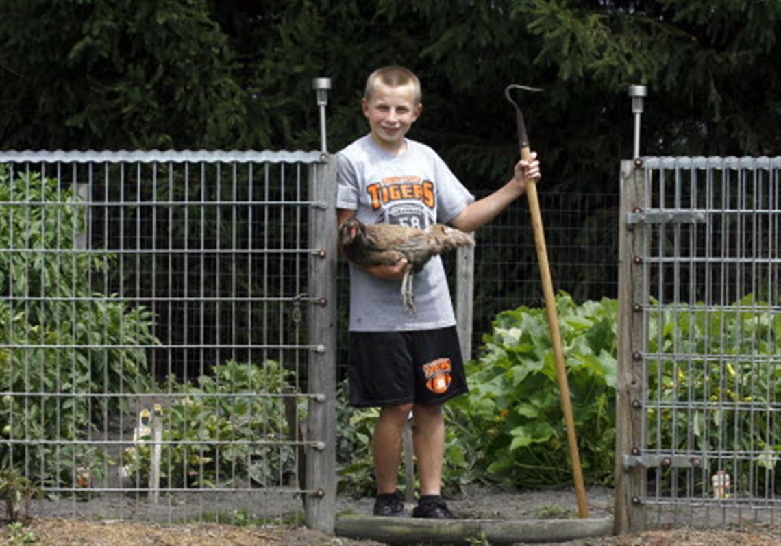 Kaiser Blade See more of the kaiser blades on facebook. Janeforyou