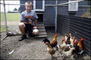 Cody Kaiser raises and sells about 400 chickens a year.