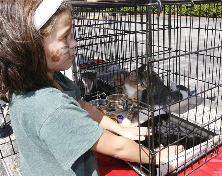 Giving-pets-a-helping-hand-2