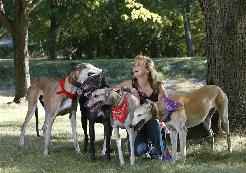 Delta-woman-begins-rescue-for-ex-racing-dogs-2