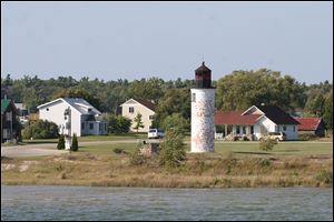 A giant toad on Beaver Island is an example of gigantism, or how certain forms of life grow bigger on islands.