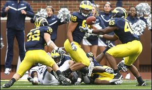 UM's Obi Ezeh recovers a fumble. Ezeh has been getting an earful from friends at MSU ever since  the Spartans' victory last year. 