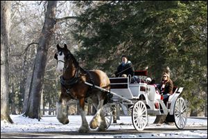Slug: CTY sleigh29p 03  The Blade/Jeremy Wadsworth  Caption:  Tim Meyers of South Creek Clydesdales gives sleigh rides Wednesday, 12/29/10, at Spiegel Grove in Fremont, Ohio.
