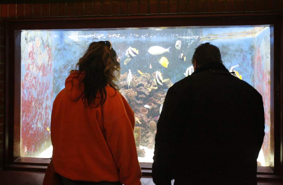 Visitors-enjoy-free-thank-you-day-at-Toledo-Zoo