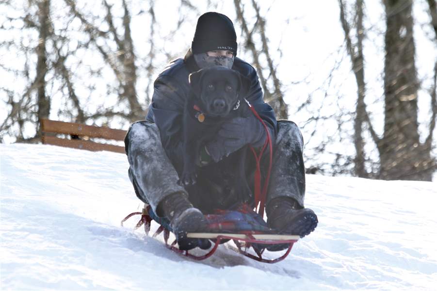 pearson-sled