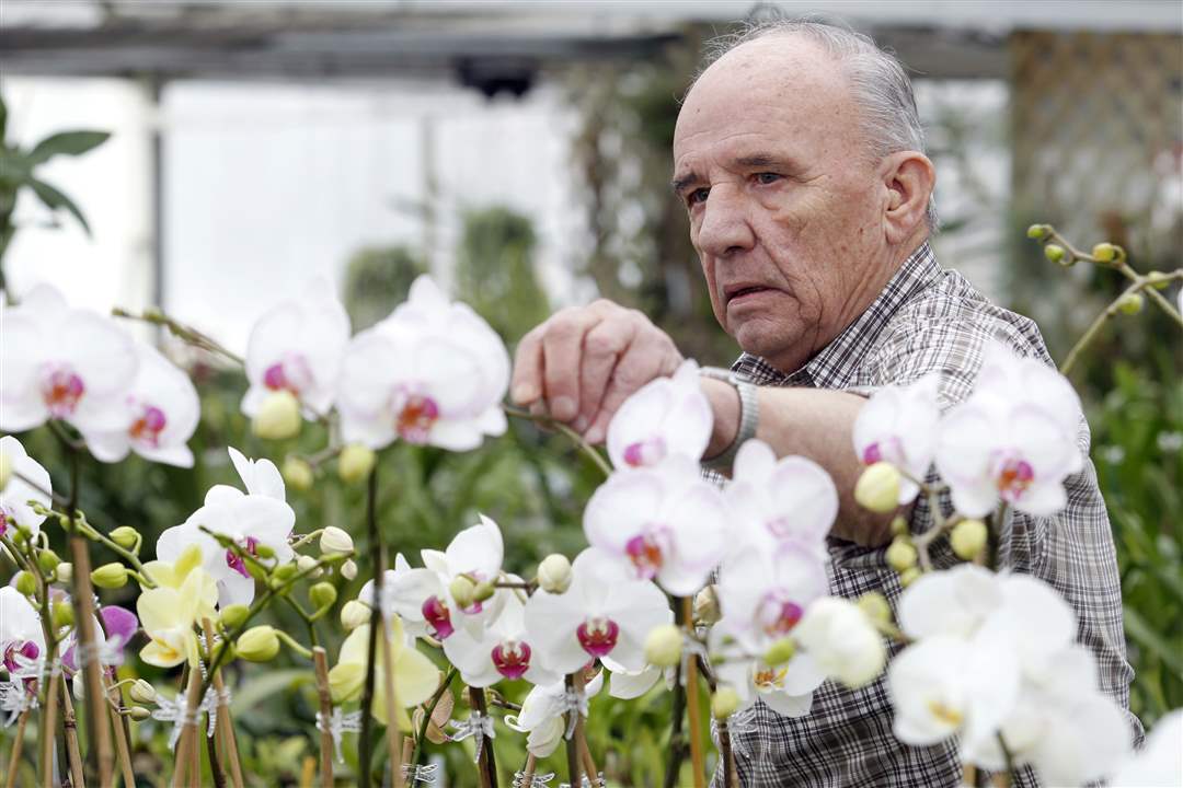 Ron-Ciesinski-orchids