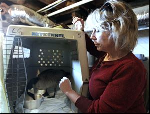 Laura Zitzelberger, operations director at Nature's Nursery in Whitehouse, said at least eight or nine of a dozen geese that were brought to the facility died or had to be euthanized.