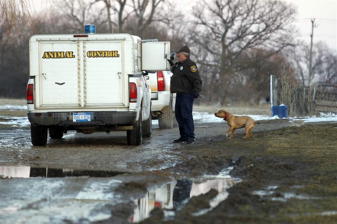 dogfighting-raid-animal-control-1