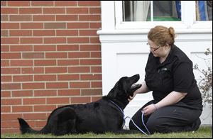 Lucas County Dog Warden Julie Lyle pets Eve, a retriever mix returned to the pound after a training and obedience class for inmates was ended.