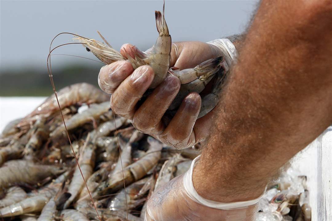 Gulf-Spill-Anniversary-Ted-Petrie