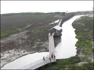 The observation tower gives a view of the wetlands and the mile-long boardwalk at the South Padre Island Birding and Nature Center on South Padre, Island, Texas. 
