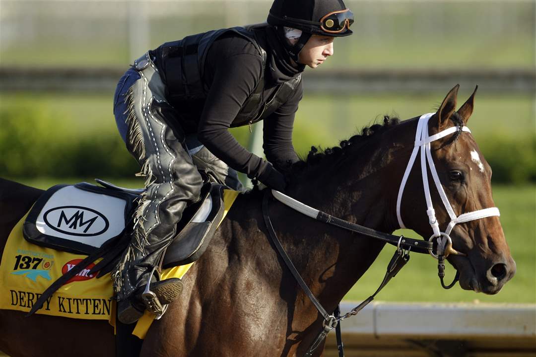 Derby-Workout-Derby-Kitten