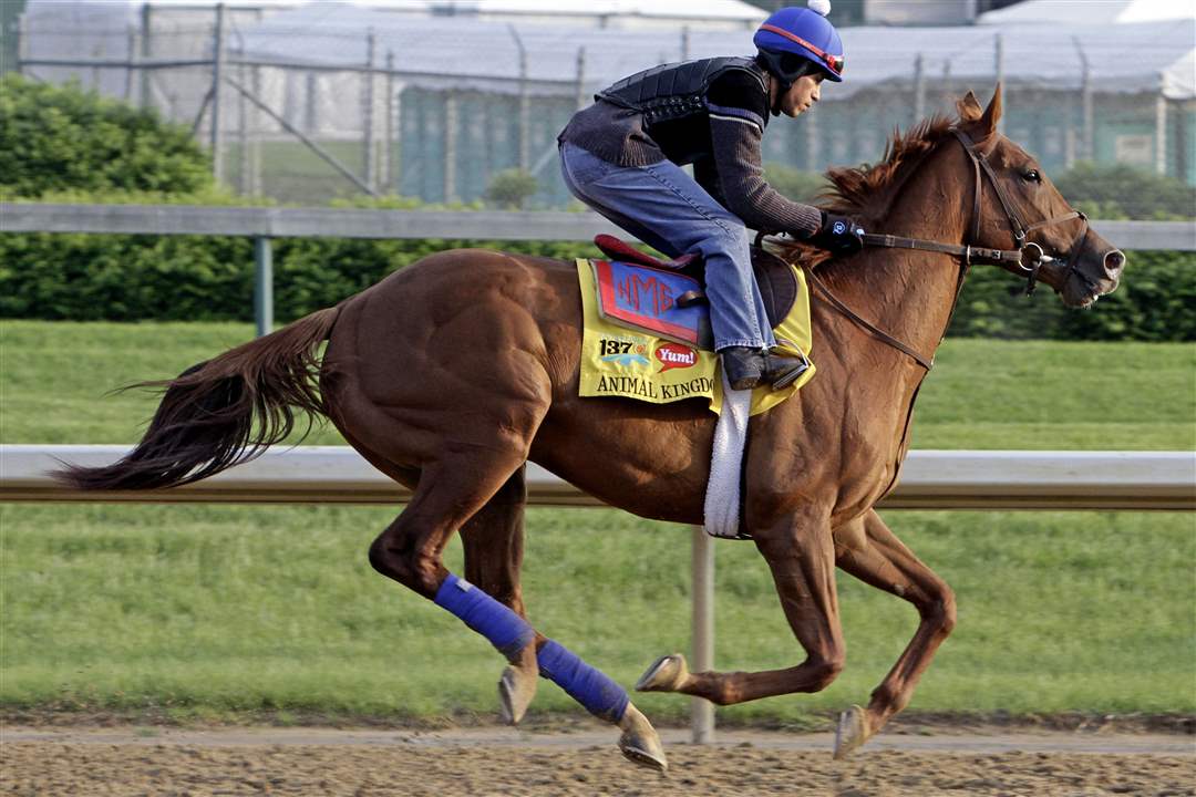 Derby-Workout-Animal-Kingdom