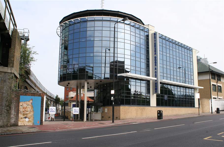 Rescue center sets standard for animal care - The Blade