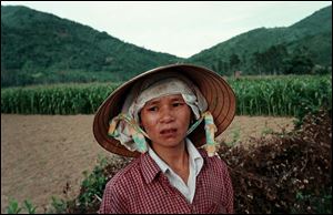 Nguyen Thi Que, who lives and works in the Song Ve Valley, was 6 months old when her mother was killed by a soldier in 1967. She has no memories of the incident, but the pain of growing up without a mother has not subsided.
