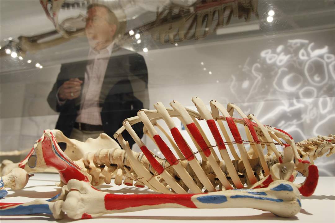 Bodies-Revealed-Dr-Roy-Glover-and-Skeleton