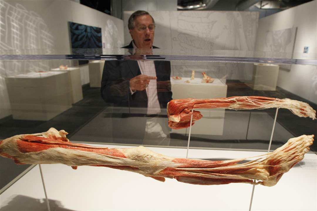 Bodies-Revealed-Dr-Roy-Glover-with