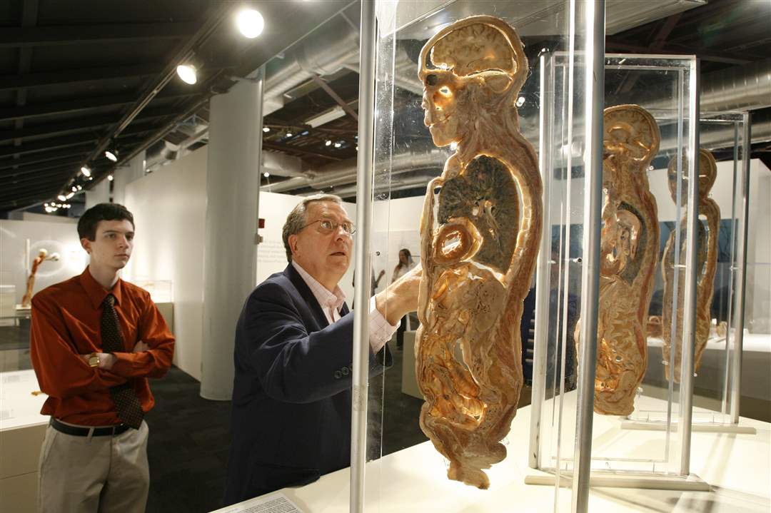 Bodies-Revealed-Exhibit-Dr-Roy-Glover-and-student