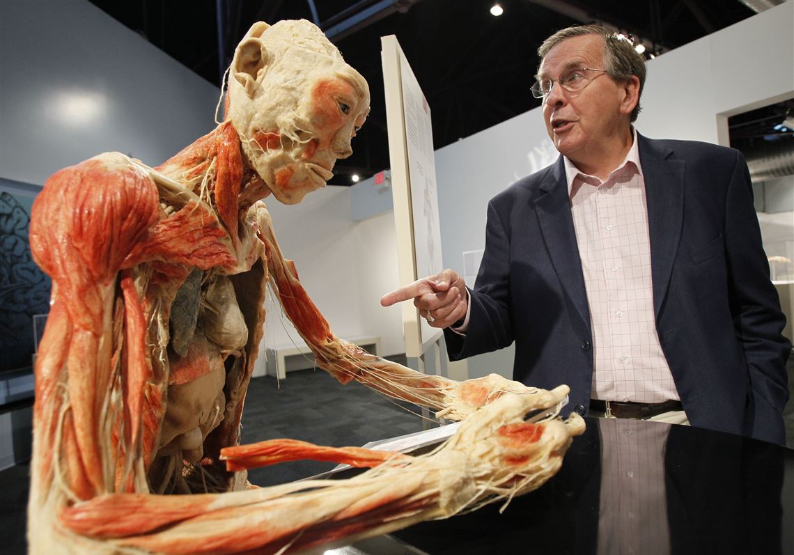 Bodies Revealed exhibit is anatomy lesson up close | The Blade, image size:1140x797