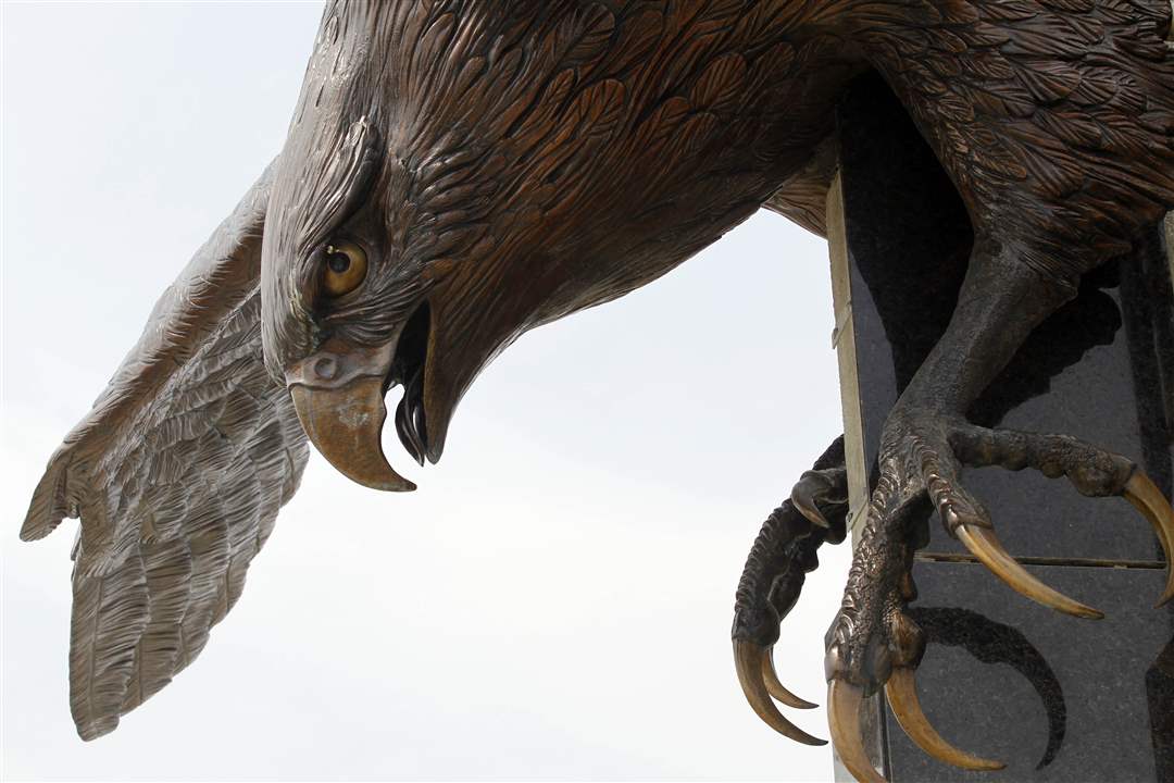 Stroh-Center-falcon-dive