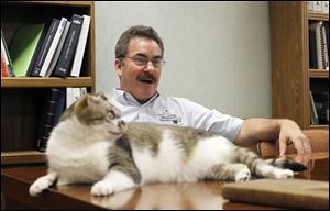 Agency mascot George the cat lounges on the desk of John Dinon, executive director of the Toledo Area Humane Society. George was taken in after Halloween in 2009 with severe burns on his face.