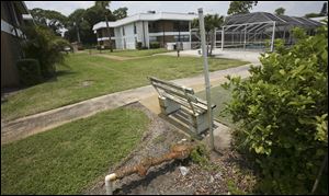 A rusting pipe is among plumbing problems at Inlet House in Florida. The homeowner association has assessed $6,000 a condo for plumbing repairs and has foreclosed on residents who haven't paid.