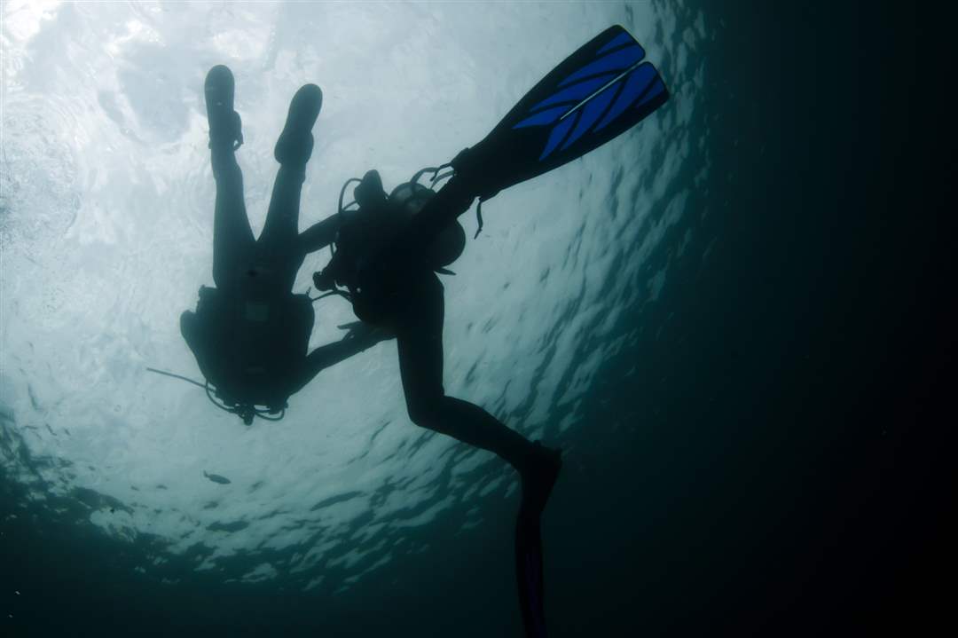 Jeff-Davis-and-John-Harris-surface