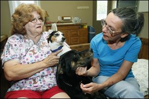 Operations manager Anne Schumann, left, holds Dotty, as Jane Huth pets Ozzie at You Lucky Dog in Oregon. The site has taken in 48 dogs from the Lucas County pound since signing up for the transfer partner program last year.