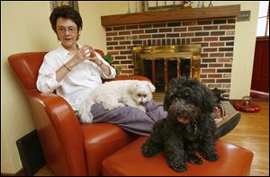 Holly Knight, at home in Point Place with her dogs Monty, left, and Cho, says her retirement planning did not allow for the jump in medical coverage costs. She must wait two years to be eligible for Medicare.