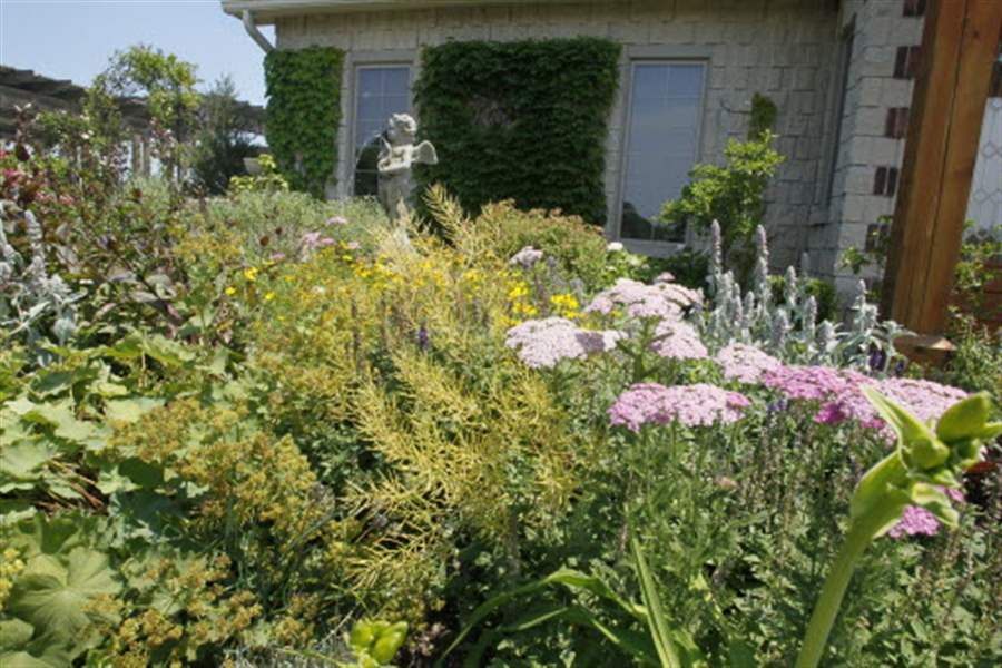 Courtyard-in-front-of-house-at-Fox-Fire-Farm