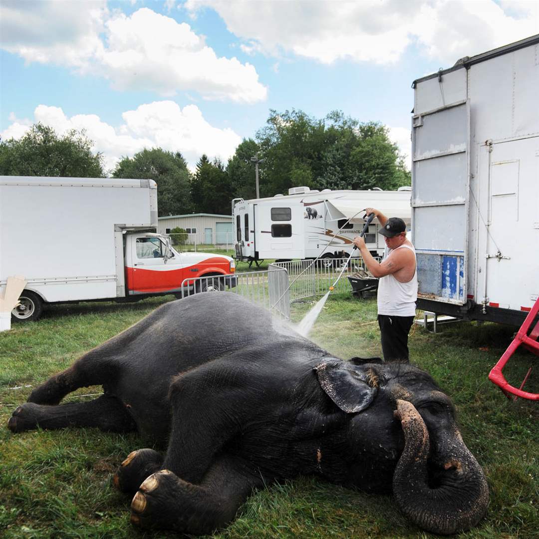 KM-Circus-Buckner-Young