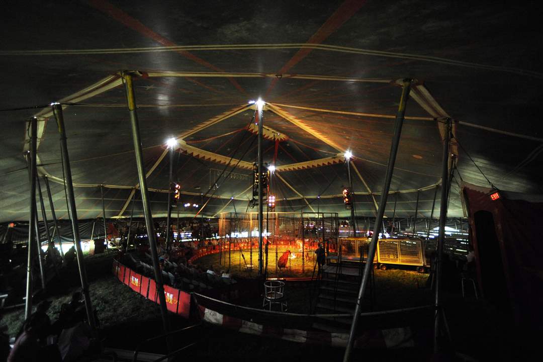 KM-Circus-Ryan-Holder