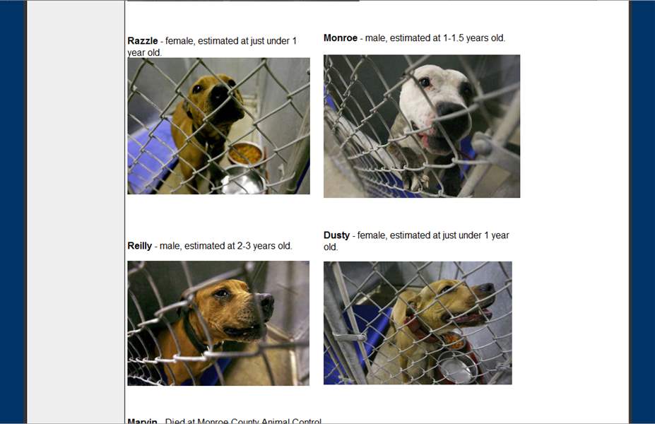 Monroe-SPCA-site