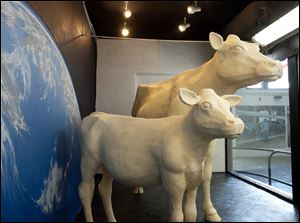The usual cow and calf made of butter on display last week at the Ohio State Fair in Columbus, Ohio, were accompanied this year by a butter space shuttle and astronaut. 