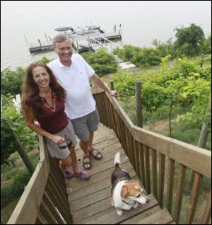 Bob and Betsy Bunda in their vineyard with red grapes
on the right and white grapes on the left.