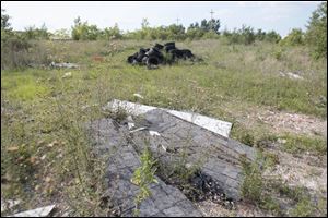 Cleanup of the former Doehler-Jarvis factory site in central Toledo has been slow to develop. 