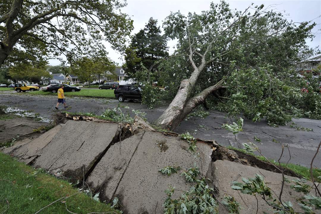 Irene-long-beach-ny-tree