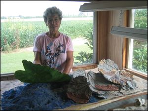 Carol grows hundreds of flowers, and has about 70 butterfly bushes (lavender, purple, pink, white). $70 for Will's seeds and soil; about $150 for Carol's flowers.